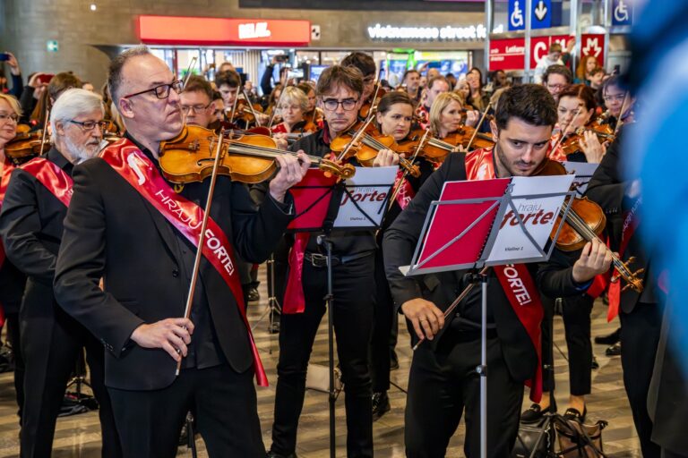 _20231008-DSC_3051-Enhanced-NR